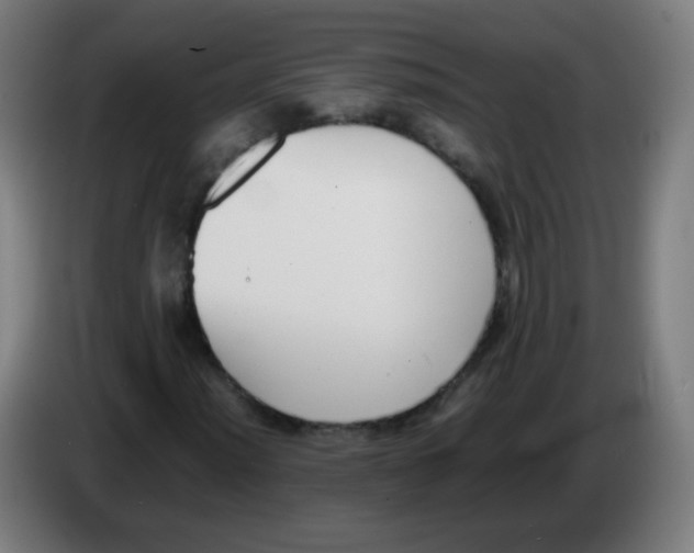 X0000086241012200704261912