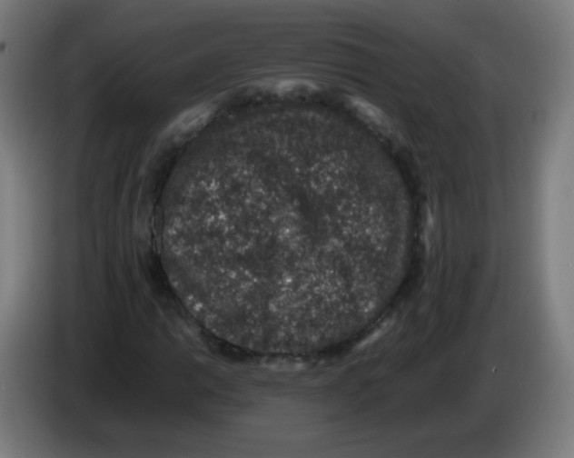 X0000086241014200704261912