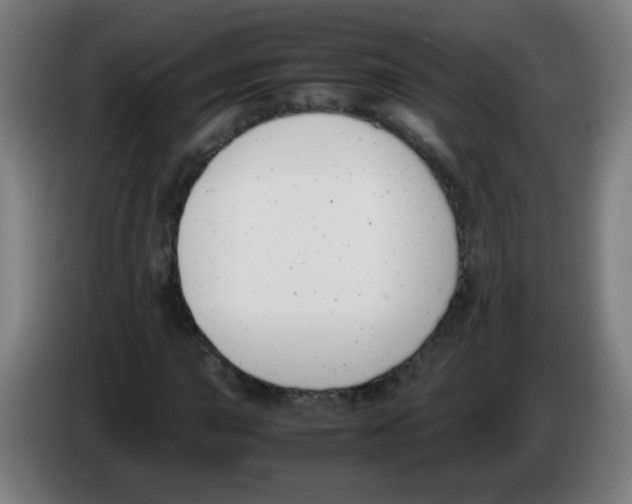 X0000086241015200704261912
