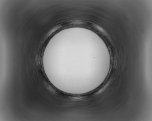 X0000086241017200704261912