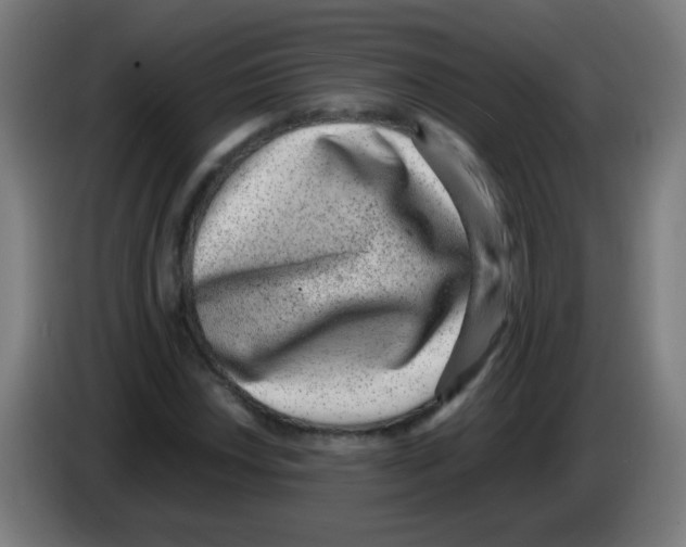 X0000086241018200704261912