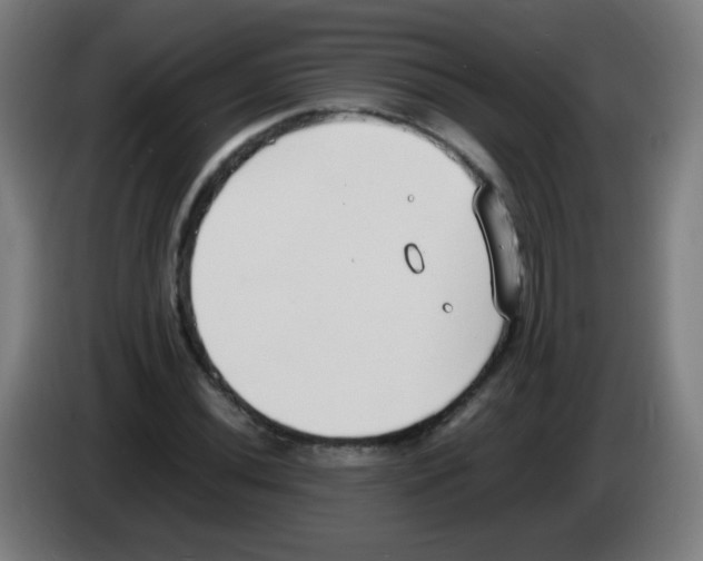 X0000086241020200704261912