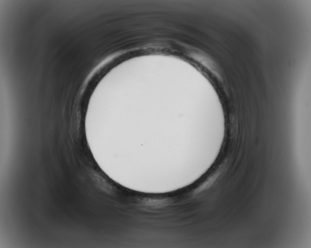 X0000086241021200704261912