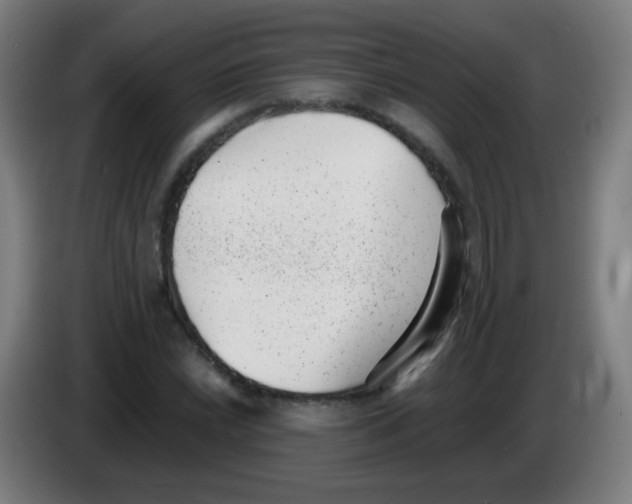 X0000086241022200704261912