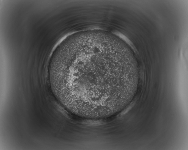X0000086241023200704261912