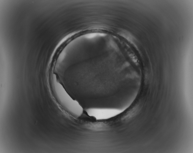 X0000086241024200704261912