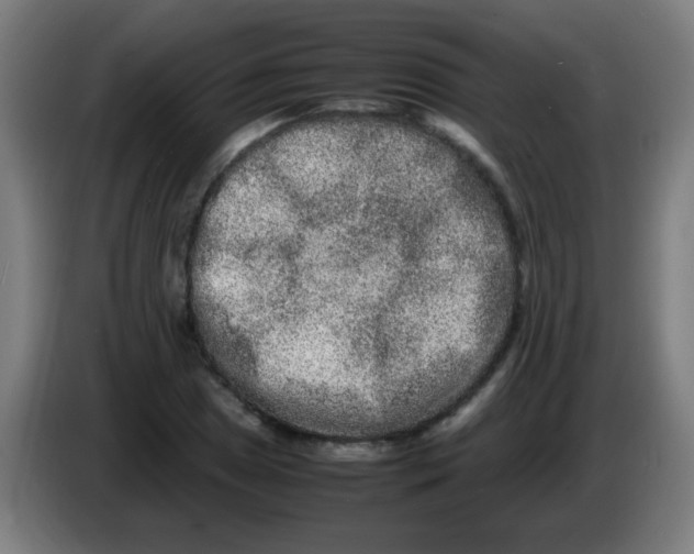 X0000086241025200704261912