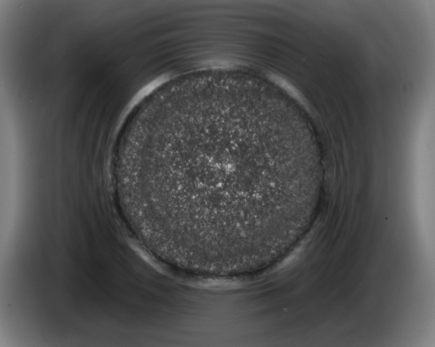 X0000086241026200704261912