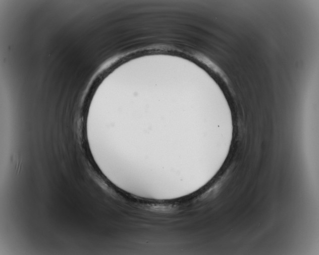 X0000086241029200704261912