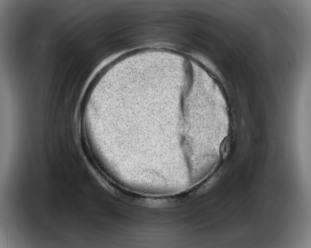 X0000086241032200704261912