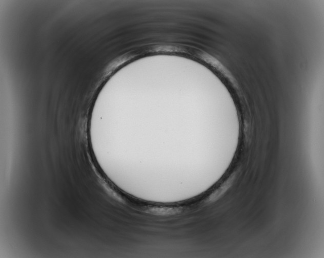 X0000086241033200704261912