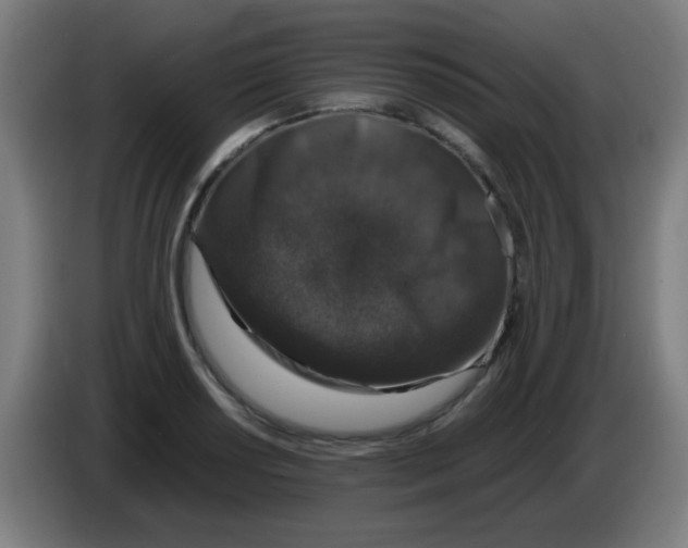 X0000086241034200704261912
