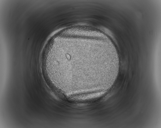 X0000086241035200704261912