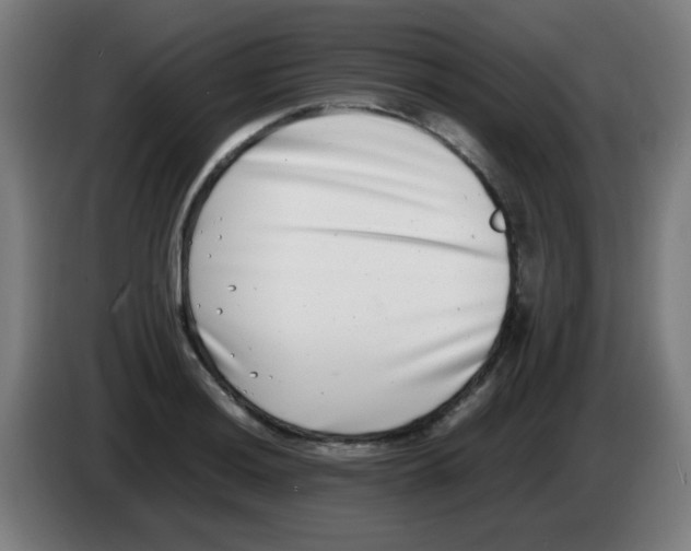 X0000086241036200704261912
