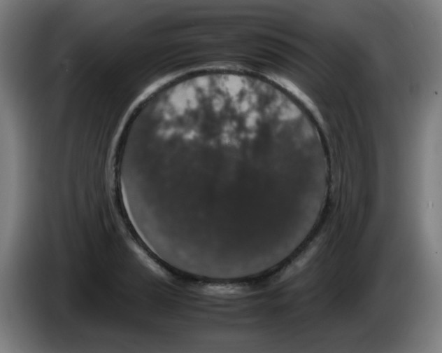 X0000086241037200704261912
