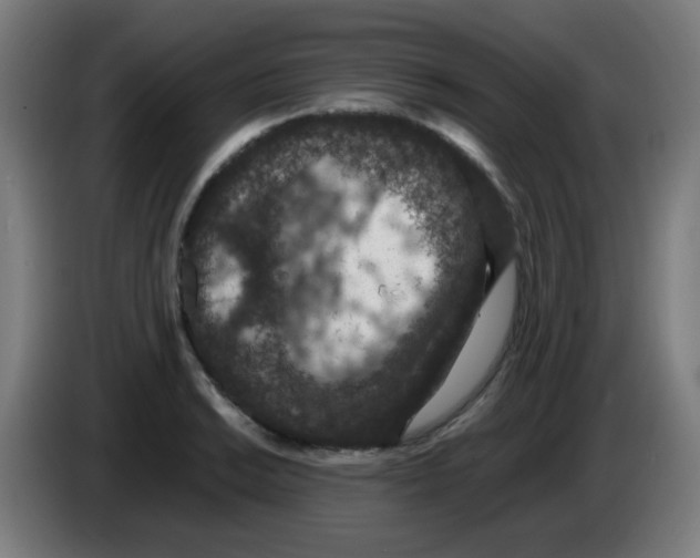 X0000086241038200704261912