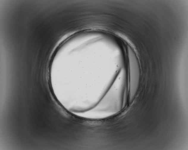 X0000086241040200704261912