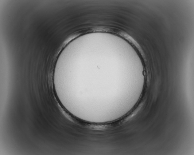 X0000086241041200704261912