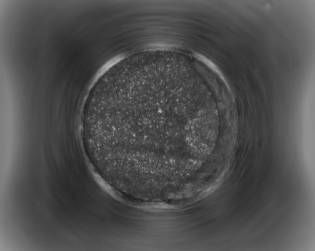 X0000086241042200704261912