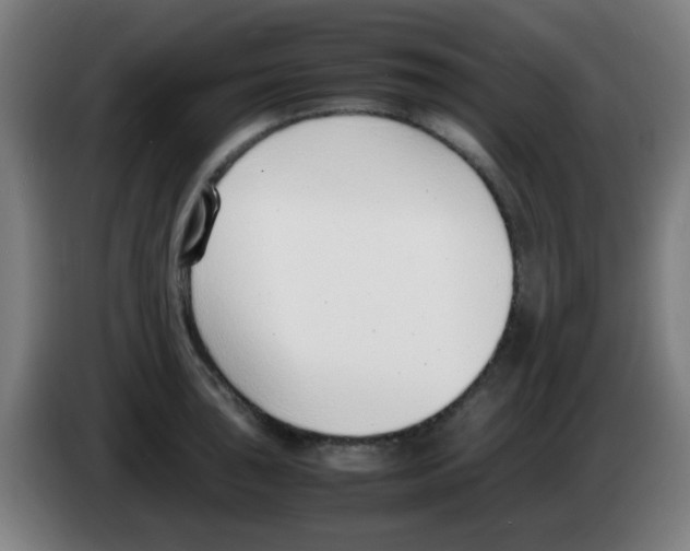 X0000086241043200704261912