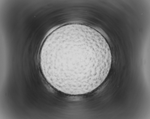 X0000086241044200704261912