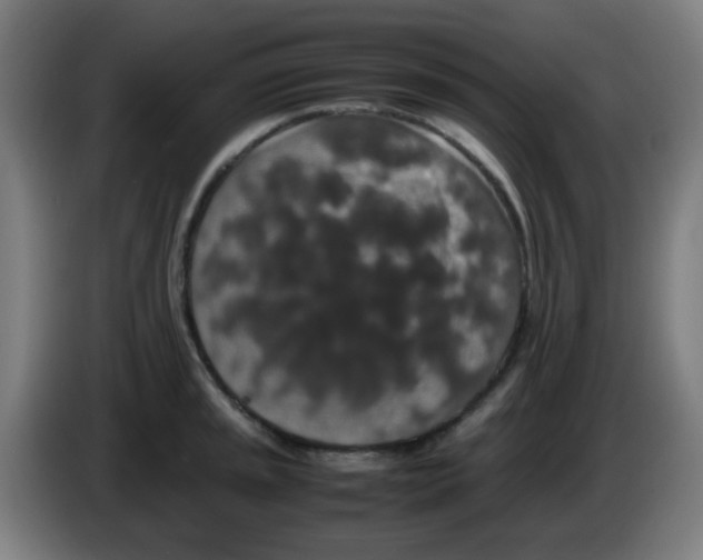 X0000086241045200704261912