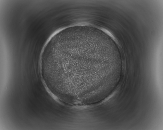 X0000086241046200704261912