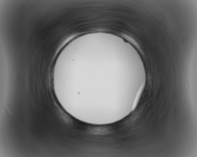 X0000086241047200704261912