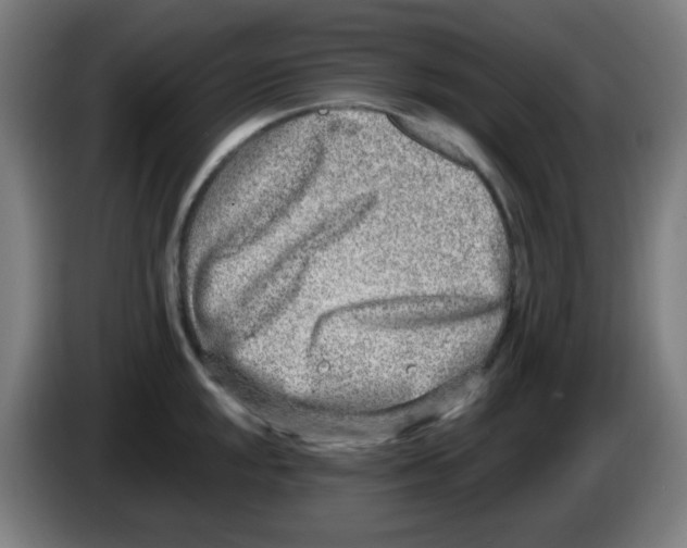X0000086241048200704261912