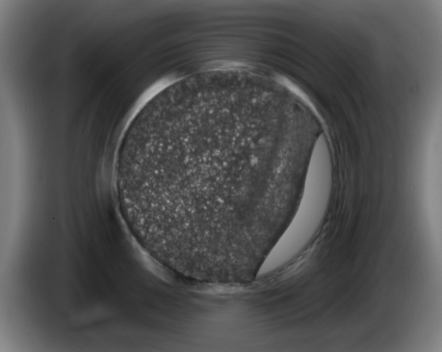 X0000086241050200704261912