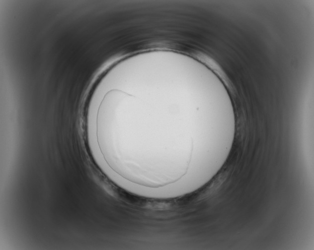 X0000086241051200704261912