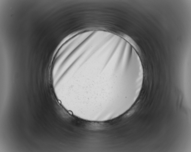 X0000086241052200704261912