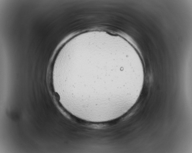 X0000086241053200704261912