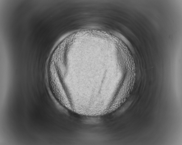 X0000086241055200704261912