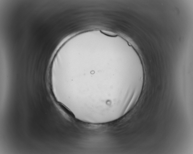 X0000086241056200704261912