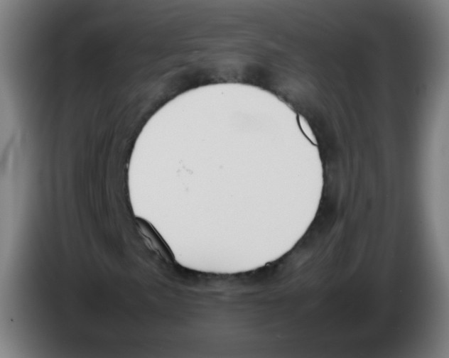 X0000086241057200704261912