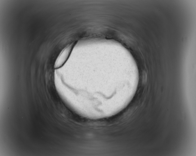 X0000086241059200704261911