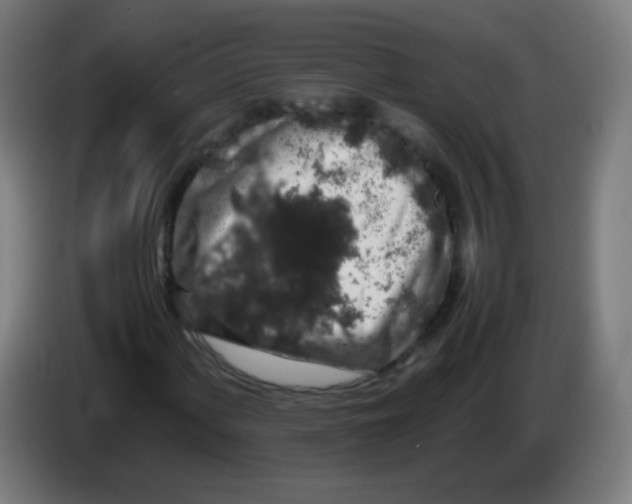 X0000086241060200704261911
