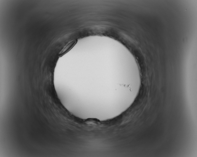 X0000086241061200704261911