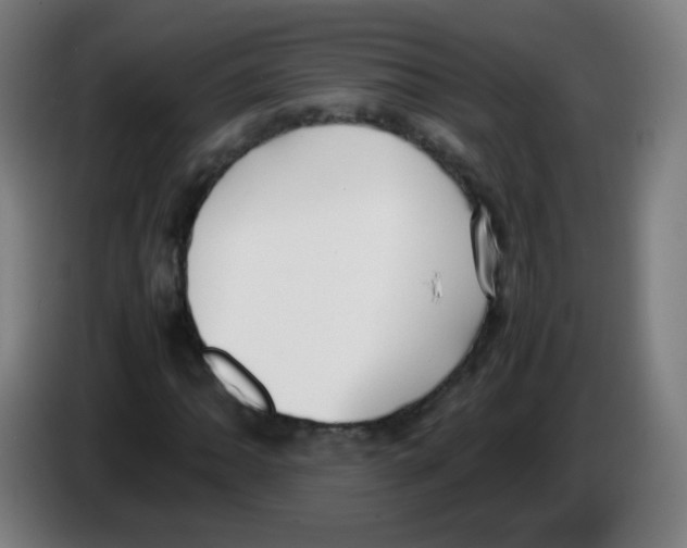 X0000086241062200704261911