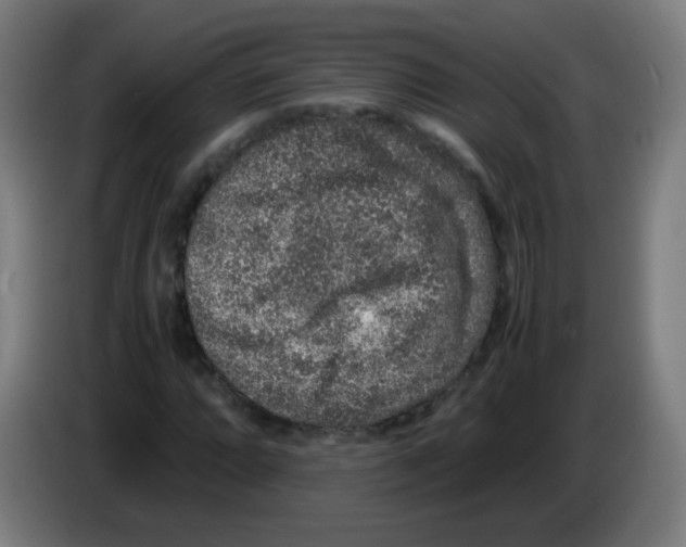 X0000086241064200704261911