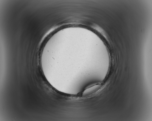X0000086241069200704261911