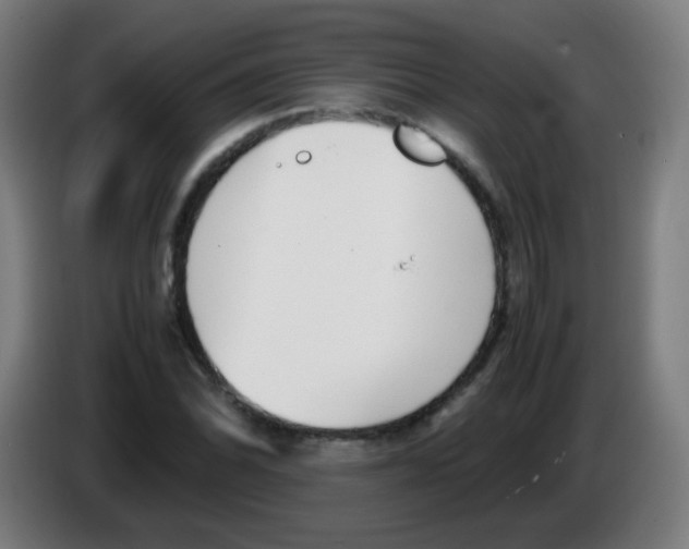 X0000086241070200704261911