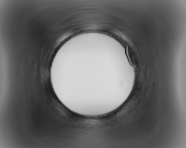 X0000086241073200704261911