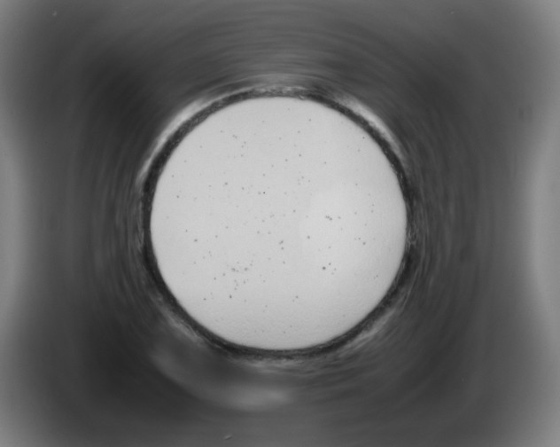 X0000086241075200704261911