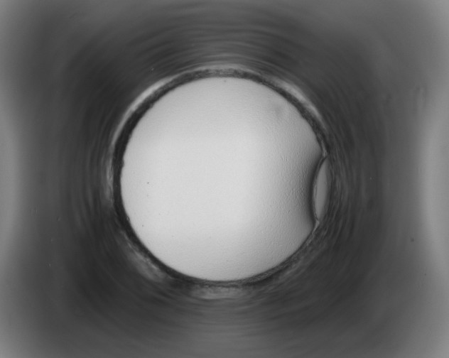 X0000086241076200704261911