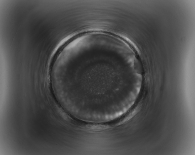 X0000086241077200704261911