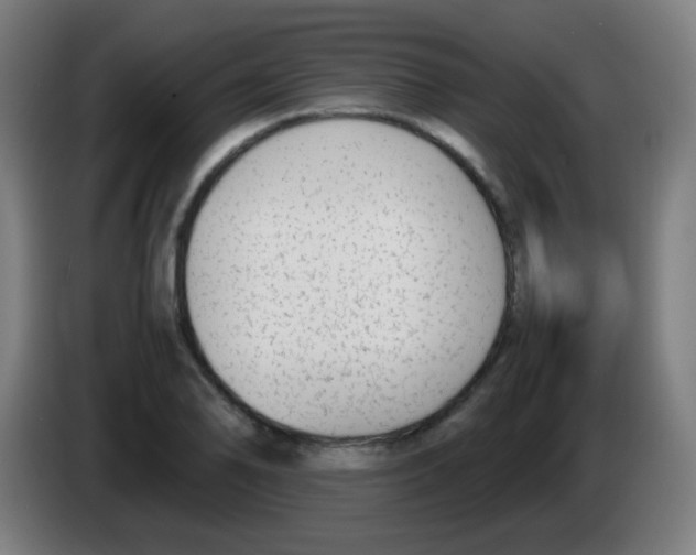 X0000086241078200704261911