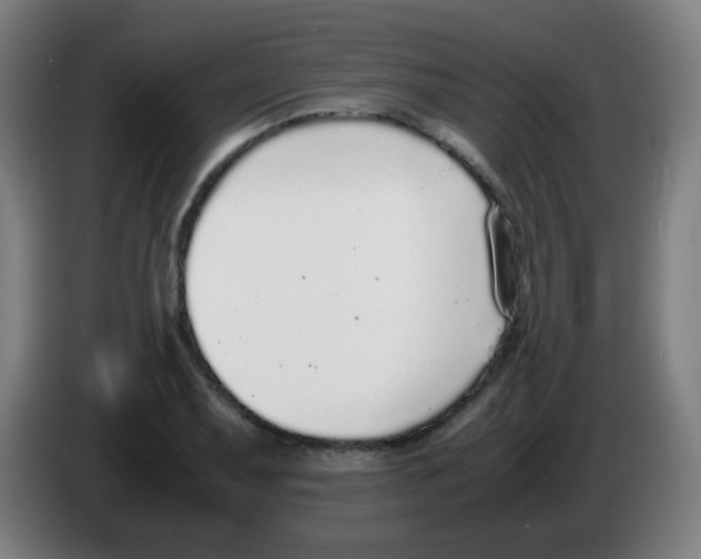 X0000086241079200704261911
