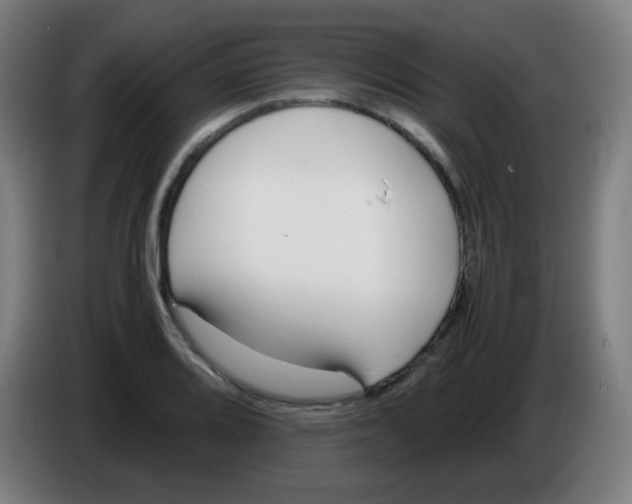 X0000086241080200704261911
